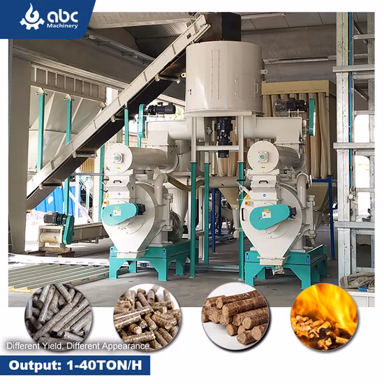 Vertical Ring Die Industrial Large Scale Engineering Biomass Fuel Hard Wood Sawdust Rice Peanut Coconut Bagasse Straw Hay Complete Best Pellet Mill for Sale