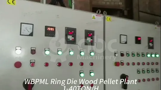 Vertical Ring Die Industrial Large Scale Engineering Biomass Fuel Hard Wood Sawdust Rice Peanut Coconut Bagasse Straw Hay Complete Best Pellet Mill for Sale