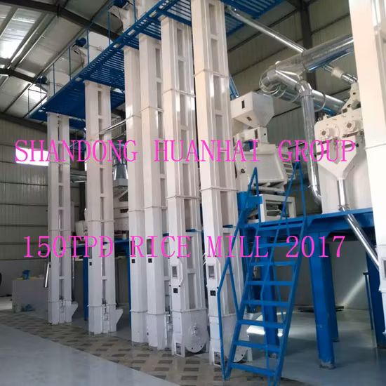 30DPT 50DPT 100DPT 200DPT 300DPT 400DPT moulin à riz complet